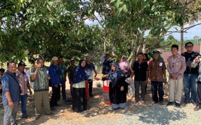 Inovasi Berkelanjutan: Kelompok Tani Makmur Mengubah Limbah Cangkang Kelapa Sawit menjadi Produk Pupuk Organik